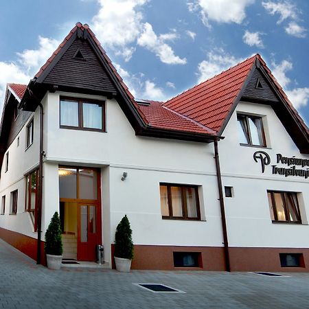 Pensiunea Transilvania Σίμπιου Εξωτερικό φωτογραφία